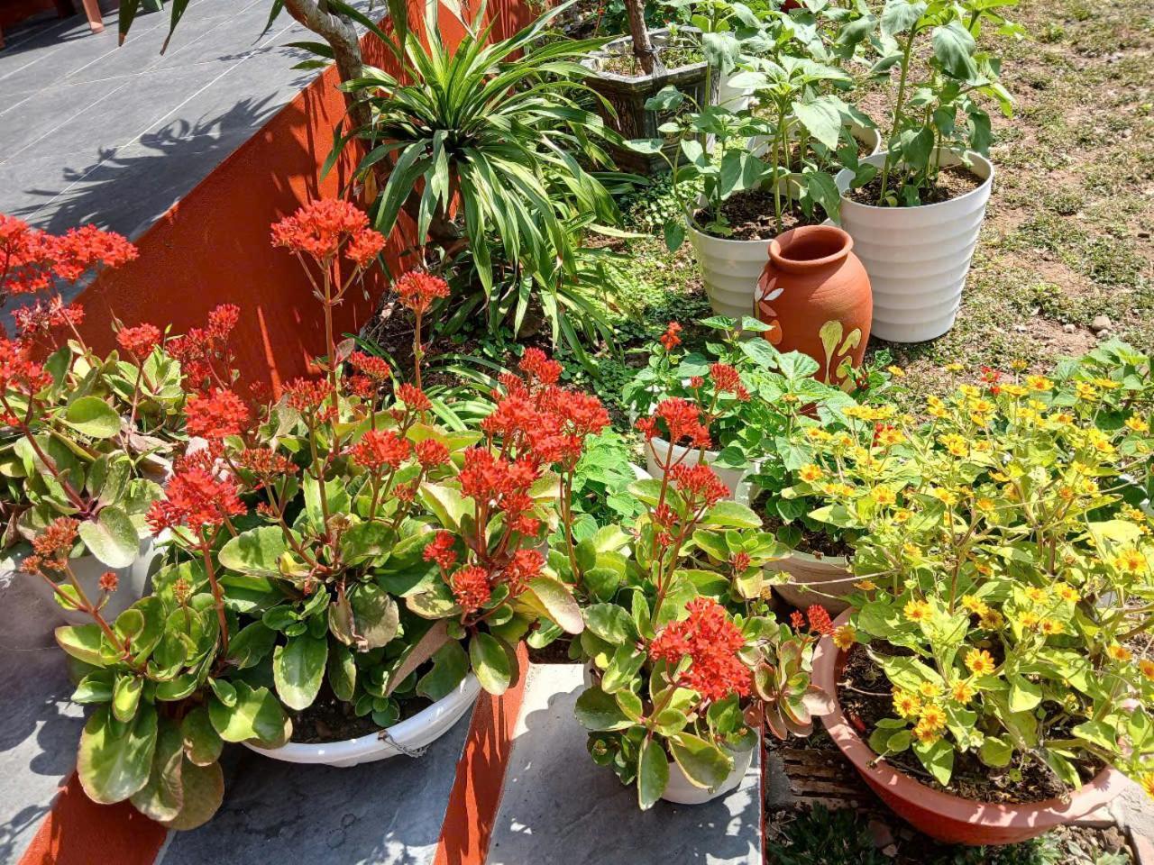 Catba Papillon Garden Bungalows & Resort Hien Hao Dış mekan fotoğraf
